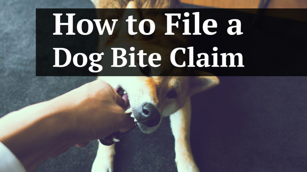 how to file a dog bite claim